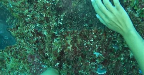 10 Ways To Breathe Life Into The Deep: Creating An Air Pocket Underwater