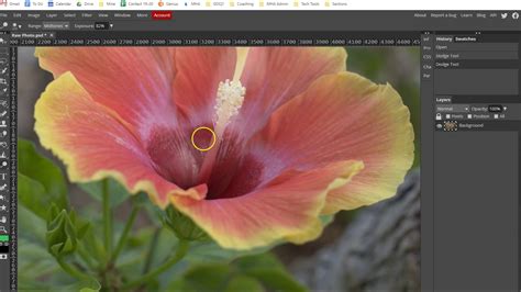 Photopea Toolbar Advanced Tools Blur Sharpen Dodge Burn Smudge Sponge Youtube