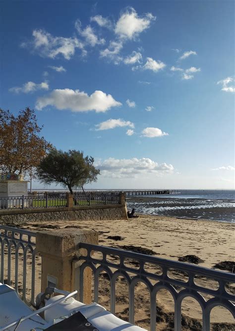 Allée Léon Gambetta Andernos les Bains Gironde Nouvelle Flickr