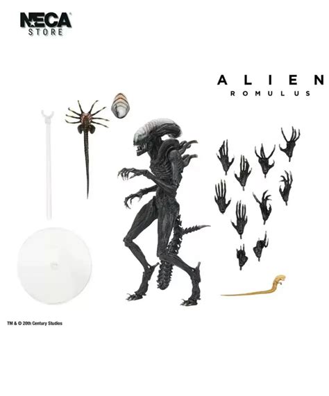 Neca Alien Romulus Modelo De Juguete De Pulgadas Regalo De Anime