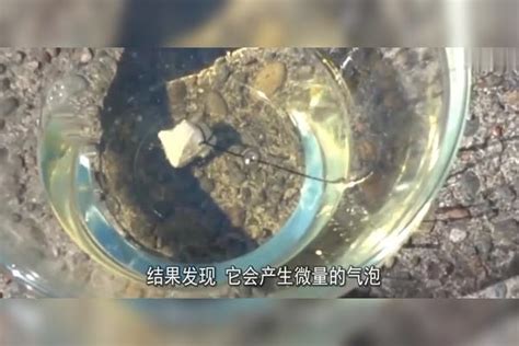 遇水就能发生爆炸的金属钠，丢进冰块中会怎样？结果出乎意料！冰块发生爆炸结果