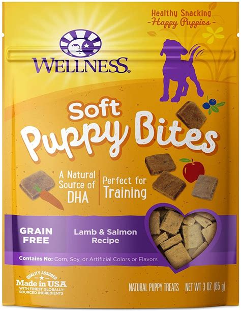 The 6 Best Healthy Dog Treats