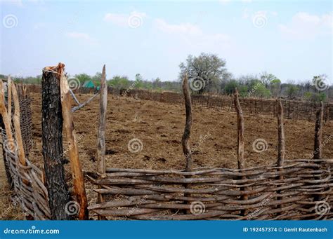 158 Cattle Kraal Stock Photos - Free & Royalty-Free Stock Photos from Dreamstime