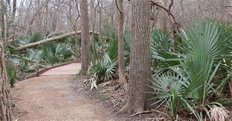 Birding Across Texas: Palmetto State Park