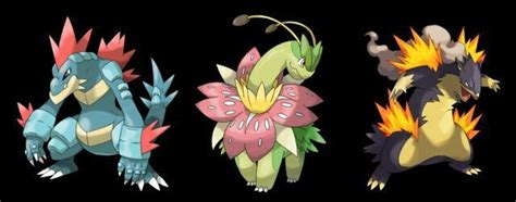 Pokemon Starters Mega Evolutions