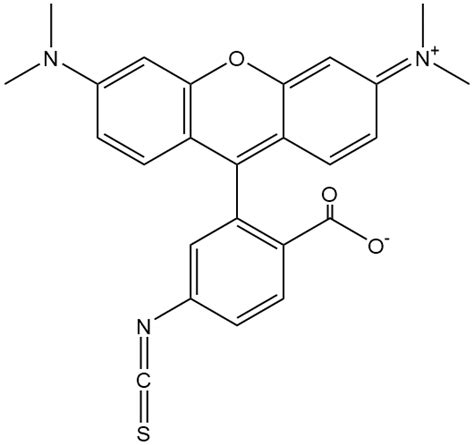 Tetramethylrhodamine Isothiocyanate Mixed Isomers Cas 95197 95 8