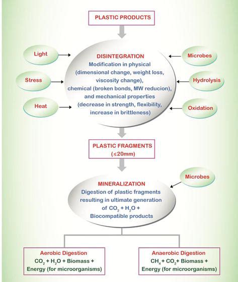 The Risks Of Microplastic Pollution In The Aquatic Ecosystem IntechOpen