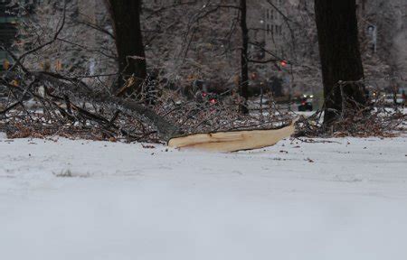 Video and images from the eastern Canada ice storm | Globalnews.ca