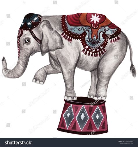 Circus elephant – Artofit