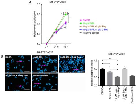 Salidroside protects SHSY5Y from pathogenic αsynuclein by promoting