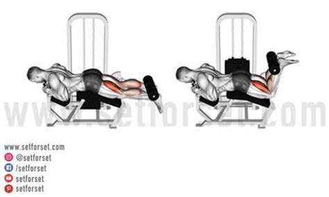 8 Best Glute and Hamstring Exercises of All Time - SET FOR SET