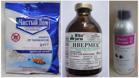 Как избавиться от куриного клеща