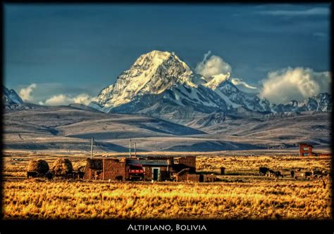 Altiplano Bolivia Bolivia Travel Beautiful Places To Travel Bolivia