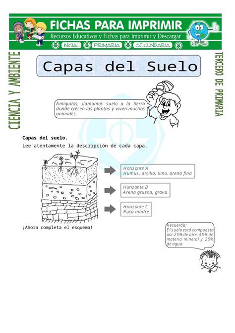 Fichas De Primaria Ficha De Las Capas De Suelo Hot Sex Picture