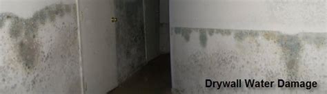 Drywall Water Damage - Repair Clean up & Replacement - Drywall Flood ...