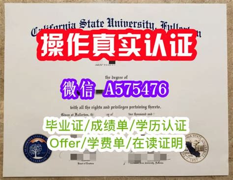 一比一原版美国亚利桑那大学毕业证（ua毕业证书）学位证可查学历认证 Ppt