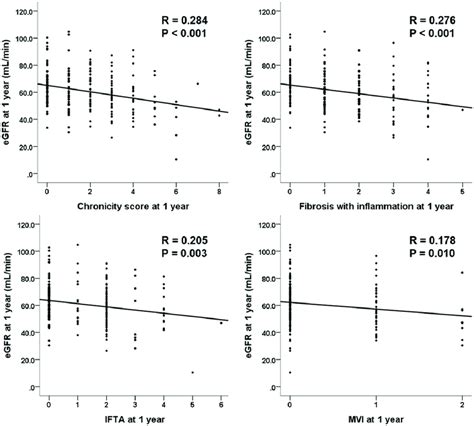 Correlation Of Histological Scores With Egfr At 1 Y Egfr Estimated