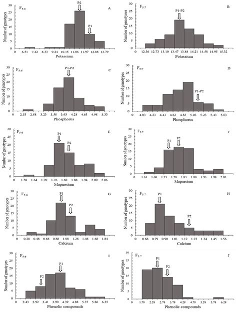 SciELO Brasil Phenotypic Parameters Of Macromineral And Phenolic