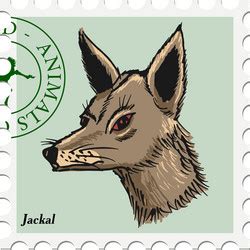 Jackal Vector Images (over 830)