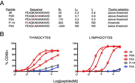 Fig S1 Establishing The Tcr Ligand Affinity Hierarchy A Table Of