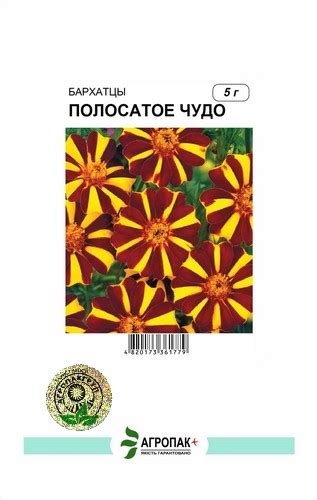 Бархатцы отклоненные Мандарин - 5 грамм - Агропакгруп