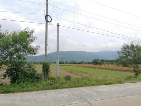 Residential Lot For Sale Bongabon Nueva Ecija [48 Properties] (January ...