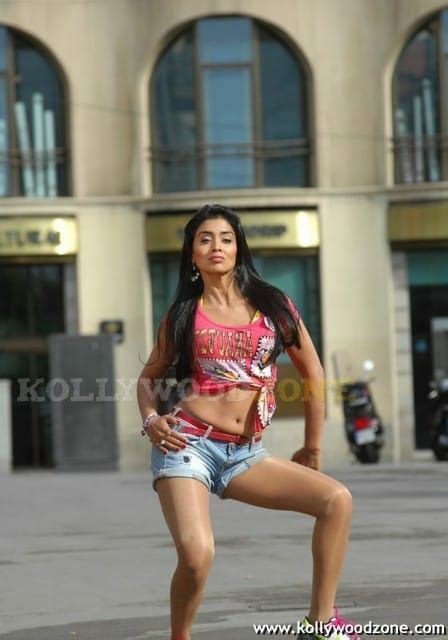 Hot And Sexy Shriya Saran In Don Seenu Movie Kollywood Zone