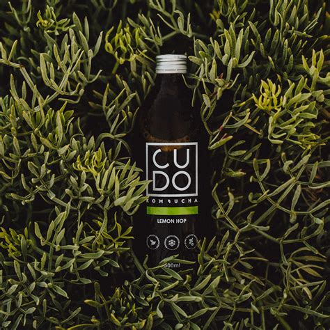 Cudo Kombucha Foodtechac Startup Portfolio