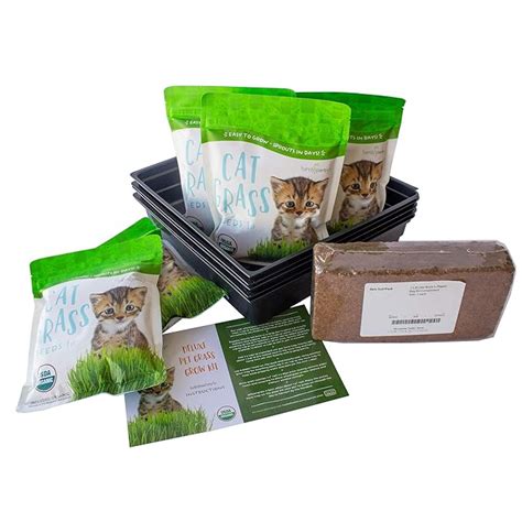 Deluxe Organic Cat Grass Kit Includes 5 Pounds Of Organic Cat Grass Seeds Minute