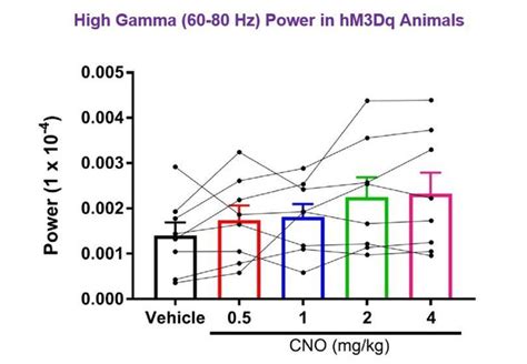 CA2 neuronal activity controls hippocampal low gamma and ripple ... 
