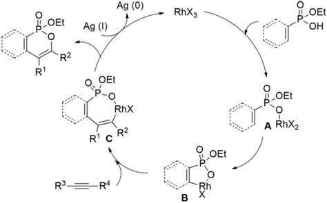 Plausible Mechanism Rhodium Rh Catalyzed Intermolecular Annulation