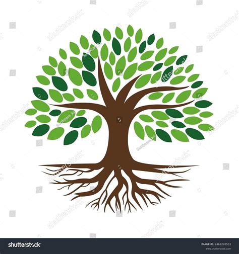 Green Tree Leaves Roots Vector Illustration Stock Vector Royalty Free