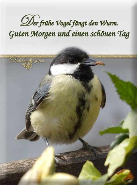 Seelchen Karten Und Collagen Der Fr He Vogel F Ngt Den Wurm Guten