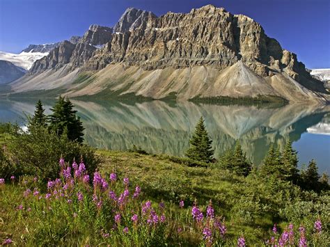 Tour And Travel: Alberta (Canada)