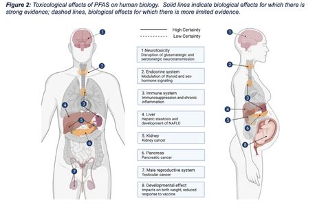 PFAS Evidence Piles Up, Puts Polluters On Notice NC Health, 58% OFF