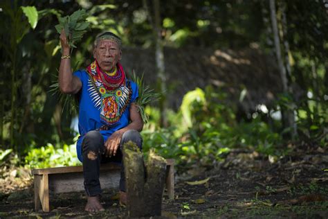 Indigenous Healing Poses A Challenge And Opportunity For Global Mental