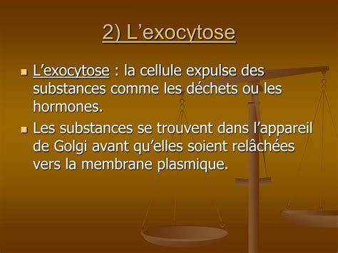 PPT Lhoméostasie et la membrane plasmique PowerPoint Presentation