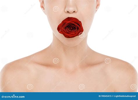 Cropped View Of Attractive Naked Woman Holding Red Rose In Lips Stock Image Image Of Sensual