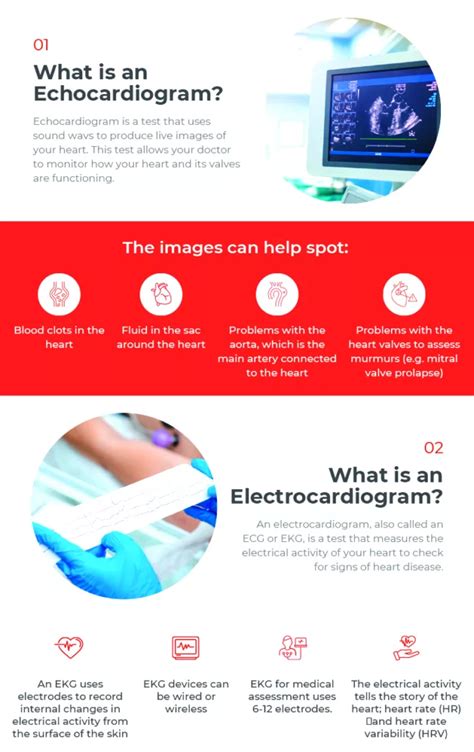 Electrocardiogram Vs Echocardiogram