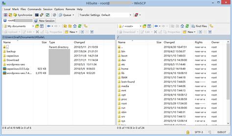 How To Upload The Files To Server With Winscp For Beginners