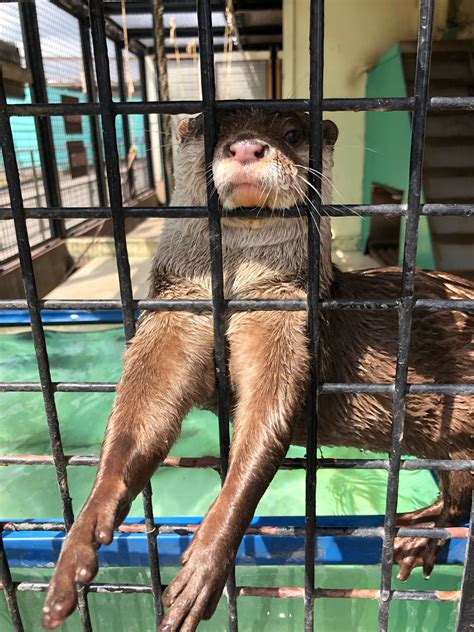 東武動物公園【公式】リュウくん On Twitter 今日も、朝から動物園日和！ 東武動物公園