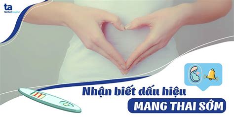 Phân Biệt Mang Thai 6 Tháng Là Bao Nhiêu Tuần Với Những Dấu Hiệu Thường Gặp