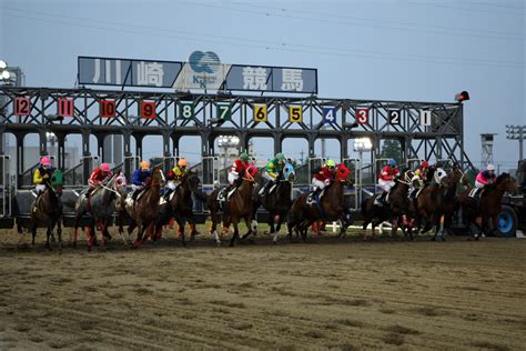 【エンプレス杯2023】予想と最終追い切り・調教評価 未勝利マニアの競馬予想