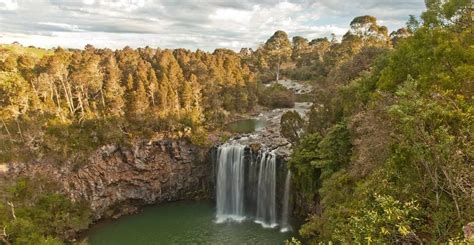 Dangar Falls Australia | Pretty nature pictures, Wonderful places, Places