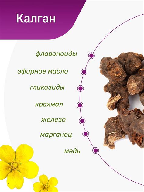 Калган (корень) - купить Крымские травы недорого в интернет-магазине ...