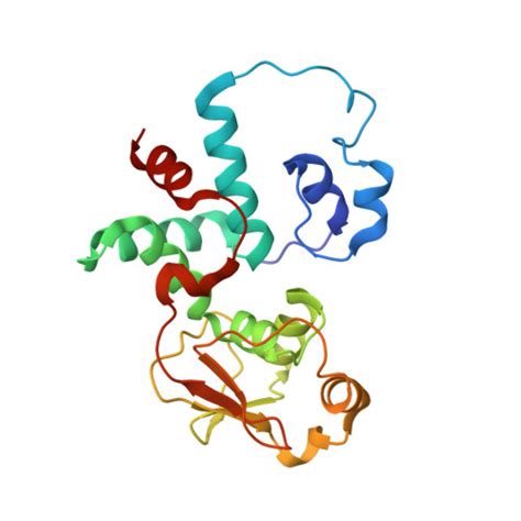 Rcsb Pdb Wif Cryo Em Structure Of Mycobacterium Smegmatis S