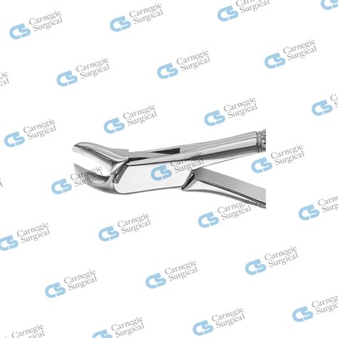 Woodward Extracting Forceps Lower Molars Carnegie Surgical Llc