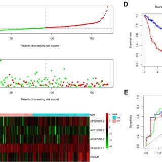 Prognostic Analysis Of The Autophagy Related Lncrnas Signature In The