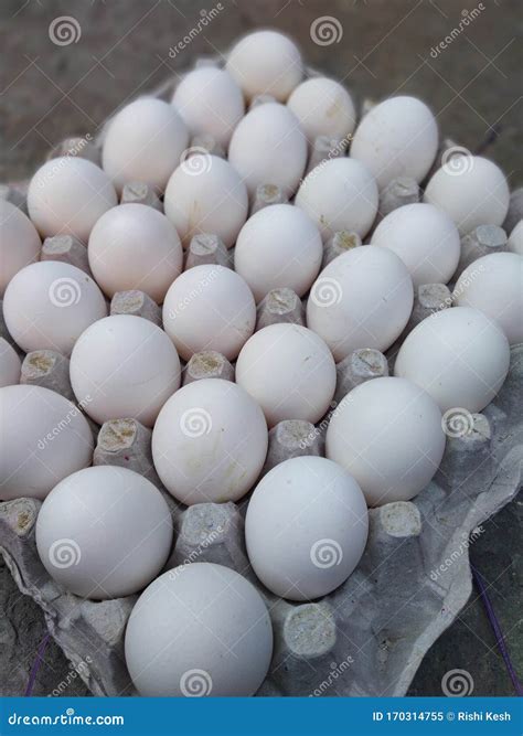 Physical Strength Of The White Eggs Of Chickens Stock Image Image Of