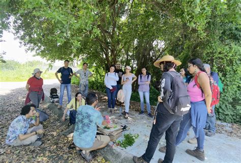 Profesores y alumnos del CUCosta identifican árboles nativos Centro